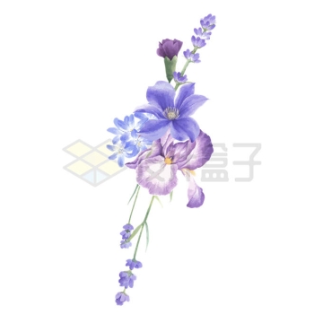 2朵盛开的紫色花朵水彩画插画7874120矢量图片免抠素材