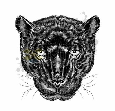手绘风格黑豹黑色美洲豹头部4486561矢量图片免抠素材