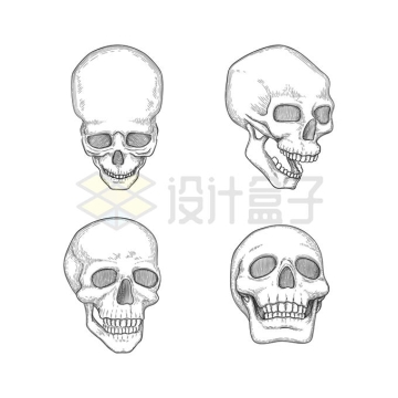 4款手绘风格头盖骨骷髅头插画7317822矢量图片免抠素材