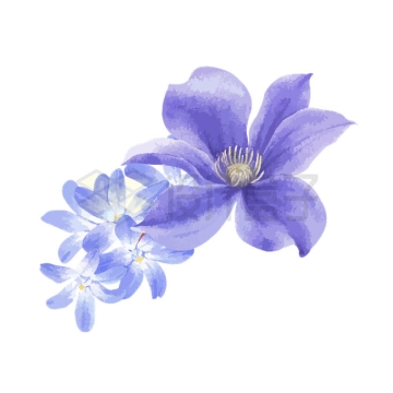 盛开的紫色花朵白芨水彩画插画4920370矢量图片免抠素材
