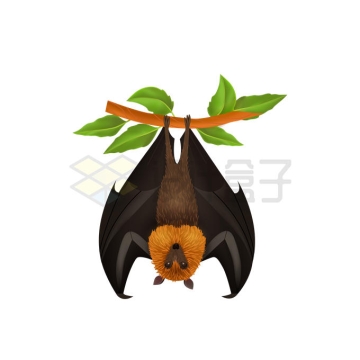 果蝠蝙蝠飞行哺乳动物8514873矢量图片免抠素材