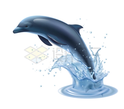 跃出水面的海豚4881808矢量图片免抠素材