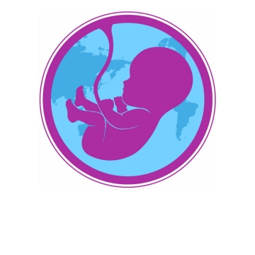 子宫内的胎儿590955PSD图片免抠素材