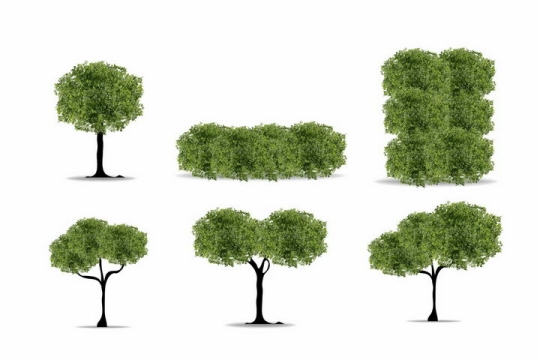 6款修剪好的园林园艺树木大树绿树盆景树png图片免抠矢量素材