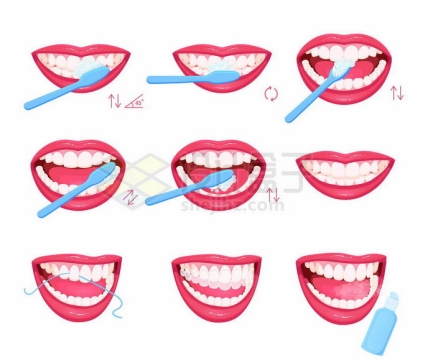 巴氏刷牙法正确的刷牙方法口腔卫生保健插画8499577矢量图片免抠素材