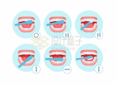巴氏刷牙法正确的刷牙方法口腔护理插画3682245矢量图片免抠素材