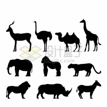 羚羊鸵鸟骆驼长颈鹿大象大猩猩花豹狮子犀牛斑马非洲动物剪影899075png图片素材