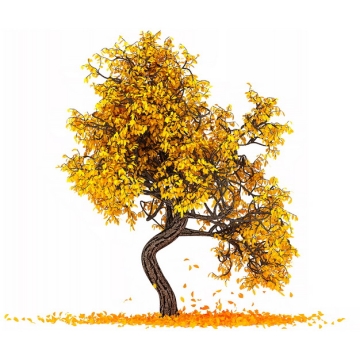 秋天金黄色树叶的大树手绘插画535538png图片免抠素材