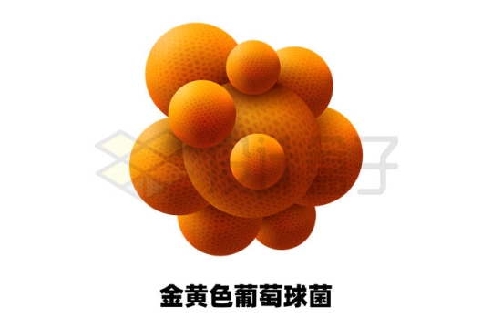 3D立体风格金黄色葡萄球菌6153058矢量图片免抠素材