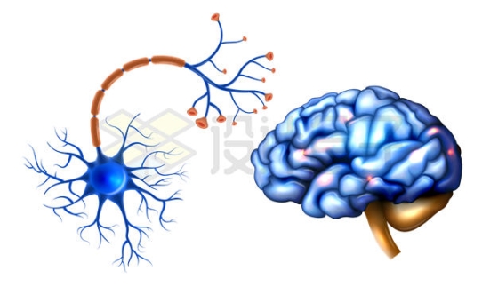 蓝色的神经细胞和大脑3900240矢量图片免抠素材