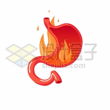 卡通人体胃部内部结构燃烧的火焰象征了胃上火2757583矢量图片免费下载