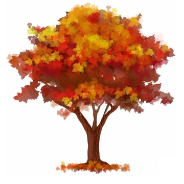 秋天火红色树叶的大树水彩插画570173png图片免抠素材