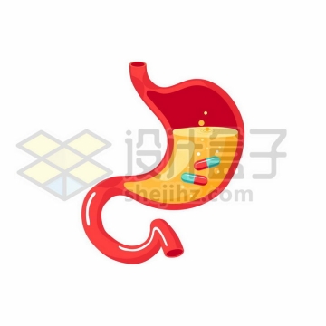 卡通人体胃部内部结构胃酸和药品胃药9987363矢量图片免费下载