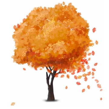秋天金黄色树叶的大树水彩插画904781png图片免抠素材
