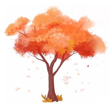 秋天树叶变红的大树凤凰树水彩插画821076png图片免抠素材
