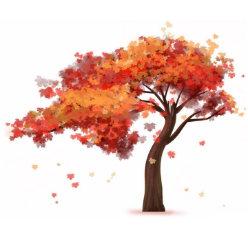 秋天树叶变红的大树凤凰树水彩插画224732png图片免抠素材