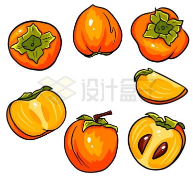 各种切开的柿子美味水果5812559矢量图片免抠素材