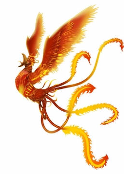 火红的火凤凰中国传统神兽png图片免抠素材