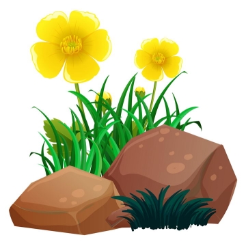 石头和五个花瓣的黄花花朵图片免抠矢量素材