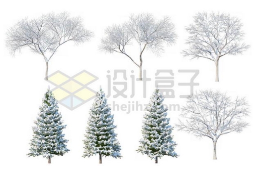 七款冬天积雪的大树雪松等冬季雪景7213584图片免抠素材