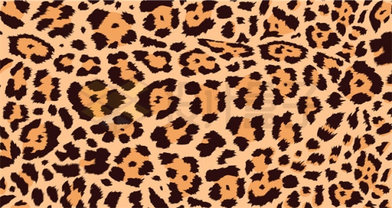 一款豹纹花纹图案横版背景图9296771矢量图片免抠素材