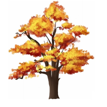 秋天金黄色树叶的大树银杏树水彩插画749263png图片免抠素材