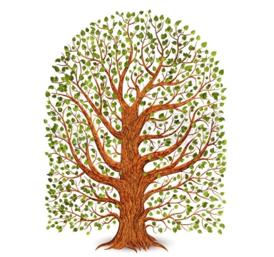 一颗枝繁茂盛的卡通大树插画8840685矢量图片免抠素材