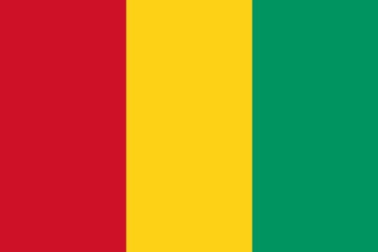标准版几内亚国旗图片素材