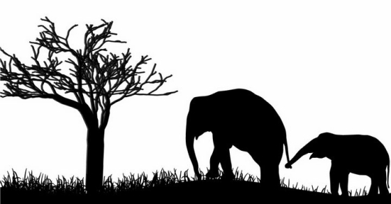非洲大草原草地上大树底下散步的大象母子非洲野生动物剪影png图片免抠矢量素材