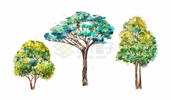 三棵大树水彩画插画1766330矢量图片免抠素材