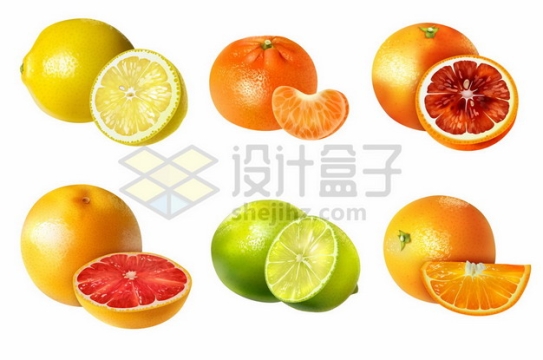 黄柠檬橘子血橙青柠檬橙子等6款柑橘类水果6662578矢量图片免抠素材