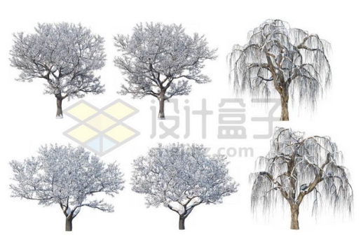 六款冬天积雪的柳树大树等冬季雪景8303760图片免抠素材