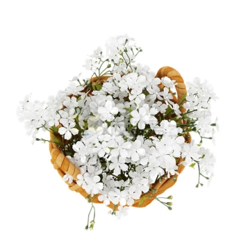 俯视视角花篮中的白色小花4901712PSD免抠图片素材