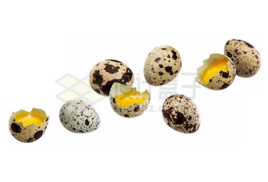 一些鹌鹑蛋和打碎的一半蛋壳中的蛋黄2858898图片免抠素材