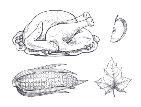 手绘素描风格烧鸡火鸡苹果玉米等美食和枫叶图片免抠矢量素材