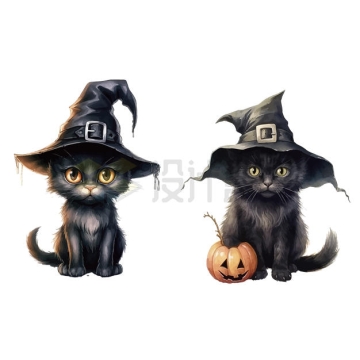 两款戴着巫婆帽子的卡通黑猫小猫咪7524196矢量图片免抠素材
