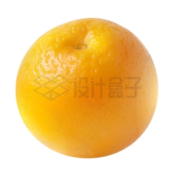 一颗橙子橘子美味水果6592855矢量图片免抠素材