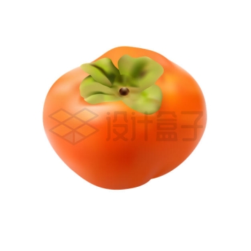 一颗成熟的柿子美味水果5582705矢量图片免抠素材