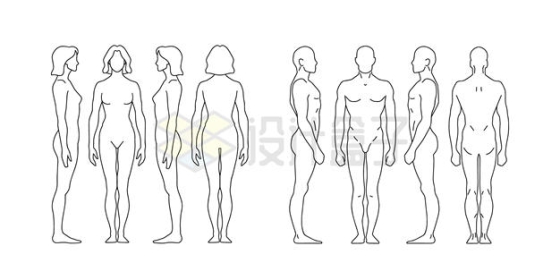 各种角度的男女身体线条图案5044962矢量图片免抠素材
