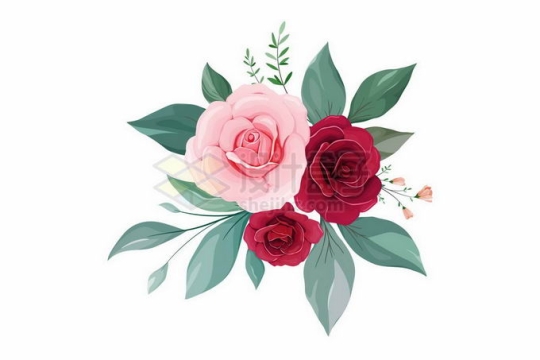 盛开的大红色和粉红色玫瑰花绿叶装饰9148873矢量图片免抠素材