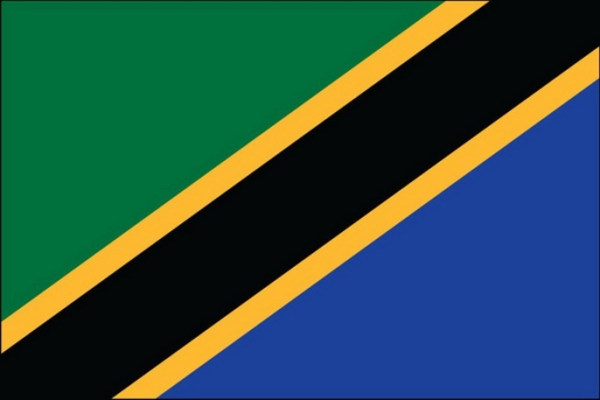 标准版坦桑尼亚国旗图片素材