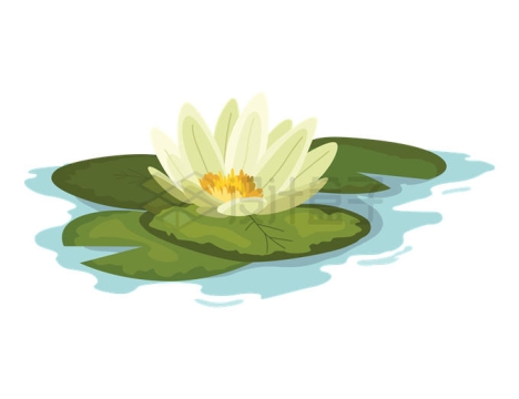 水面上的白睡莲和叶子插画5193776矢量图片免抠素材