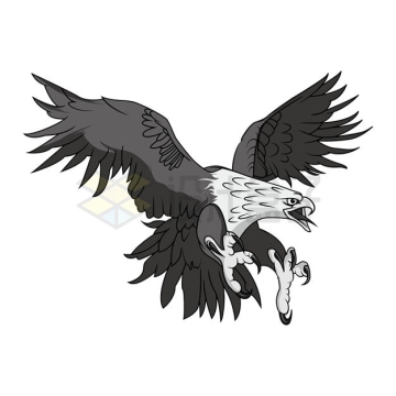 一只俯冲抓猎物的老鹰插画9387383矢量图片免抠素材