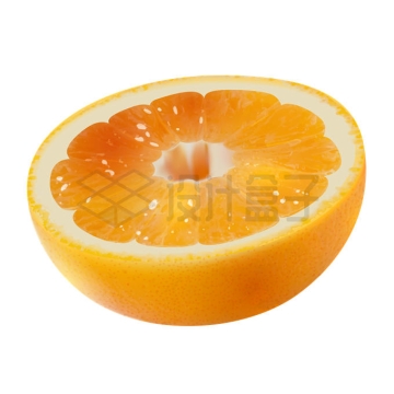 横向切开的橙子横切面美味水果9660118矢量图片免抠素材