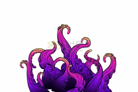 漫画风格紫色的章鱼爪子png图片免抠矢量素材