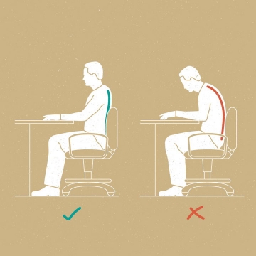 脊椎弯曲正确和错误坐姿对比图图片免抠素材