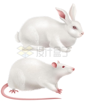 实验室做生物实验的小白兔和小白鼠等实验动物4642448矢量图片免抠素材