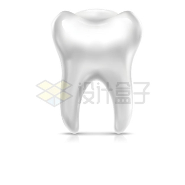 一颗银白色牙齿3D模型4427351矢量图片免抠素材