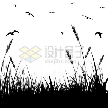草丛和天空中的飞鸟剪影6137574免抠图片素材