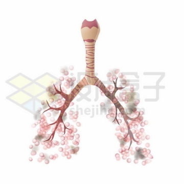 病变的肺泡肺部人体呼吸系统人体器官5424188矢量图片免抠素材